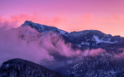 How Publishing a Health and Wellness Book Can Establish You as an Authority in Your Field